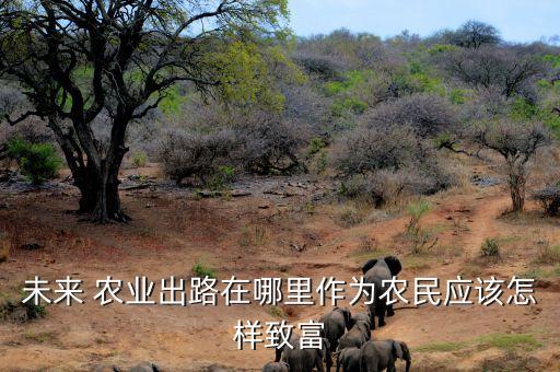 发展农业要怎么样,休闲农业的生产与经营要怎么样