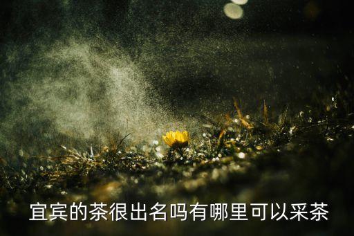 宜宾绿恒农业怎么样,宜宾农业街小学怎么样