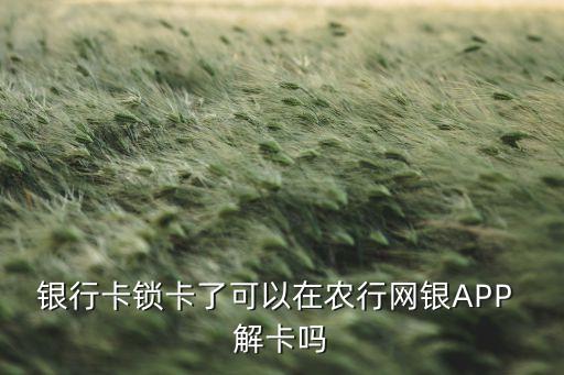 农业银行软件怎么解卡的