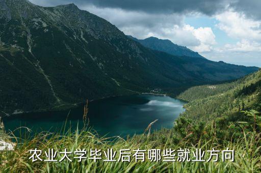  农业大学毕业后有哪些就业方向