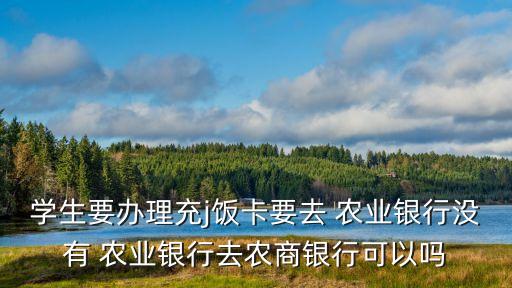 农业银行怎么绑饭卡