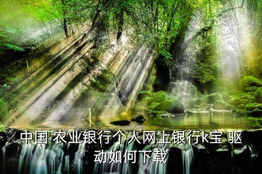 农业网银驱动怎么安装,网银驱动安装不了是什么原因