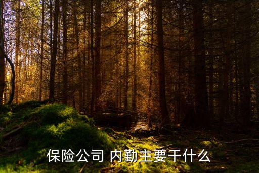 农业保险内勤的职责是什么