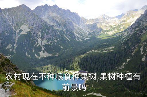 农业和水果市场前景怎么样,水果糯米糕市场前景怎么样啊