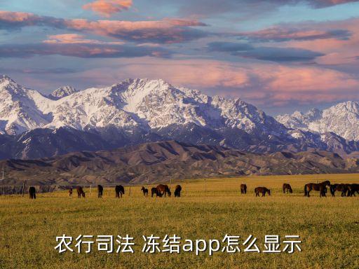 农业银行冻结怎么挂号看