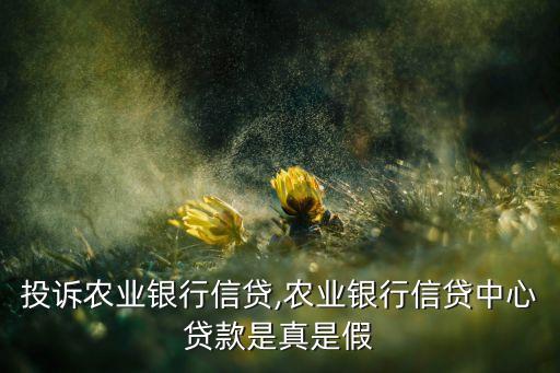 怎么投诉农业银行信贷,农业银行信贷中心贷款是真是假