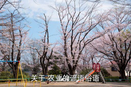 从事农业20年怎么表达,怎么从事农业工作