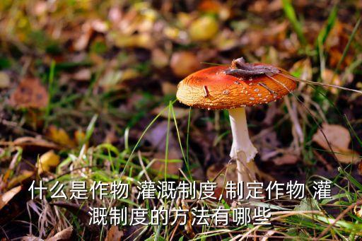 农业灌溉是什么 》
