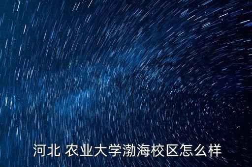 河北农业怎么了,农业银行卡怎么了