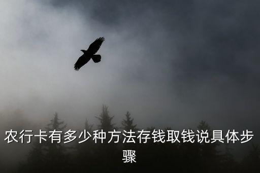 农业银行的补助卡怎么取款