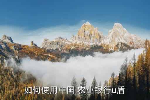 农业手机优盾怎么使用,手机优盾怎么开通