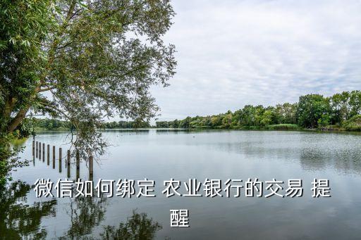 微信农业银行怎么提醒,农业银行微信免费提醒余额