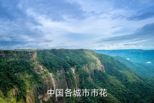 各个城市的市花，各城市的市花是什么