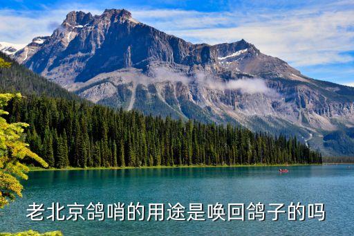 鸽哨，什么的鸽哨