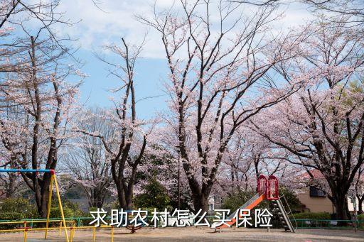 求助农村怎么买保险