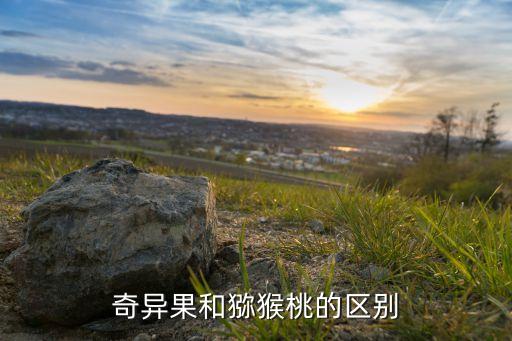 奇异果和猕猴桃的区别