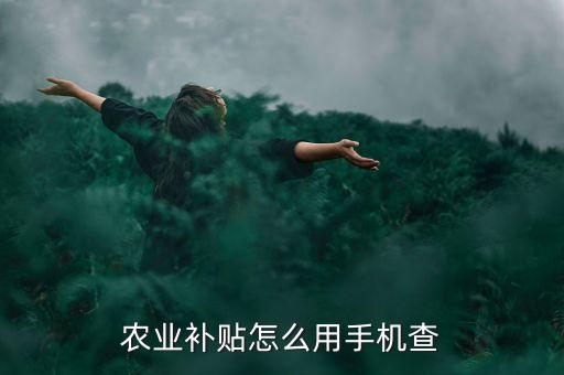 农业种植补贴怎么查，农村地补怎么查询取没取