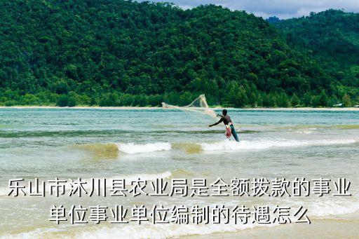 乐山市沐川县农业局是全额拨款的事业单位事业单位编制的待遇怎么