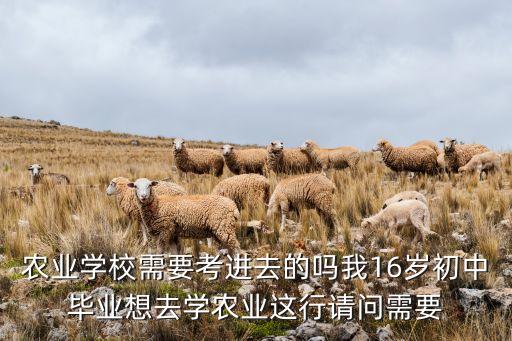 初中生怎么自学农业，农民想自学上农业专科初中文化行吗