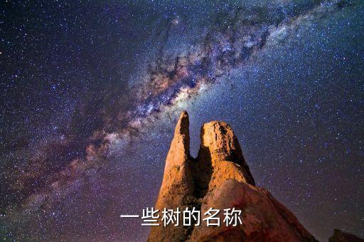 有什么树的名字，一些树的名称