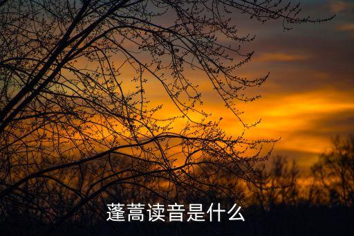 蓬蒿，蓬蒿读音是什么