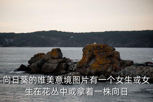 向日葵的唯美意境图片有一个女生或女生在花丛中或拿着一株向日