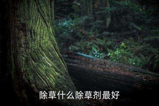 除草剂，触杀 见效快除根迅速的除草剂有哪些
