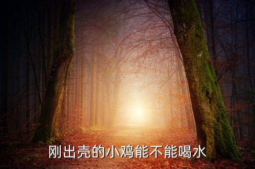小鸡可以喝水吗，刚出壳的小鸡能不能喝水