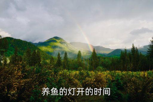 鱼缸开灯最佳时间，水族箱里的灯是晚上开好 还是白天开好