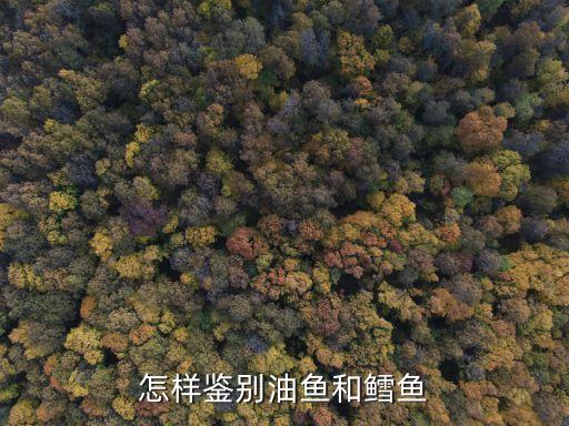 油鱼和鳕鱼的区别，怎样鉴别油鱼和鳕鱼