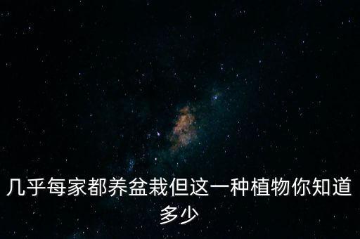 几乎每家都养盆栽但这一种植物你知道多少