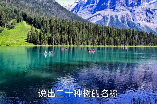 说出二十种树的名称