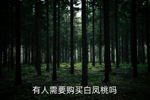 白凤桃，有人需要购买白凤桃吗