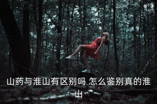 山药与淮山有区别吗 怎么鉴别真的淮山