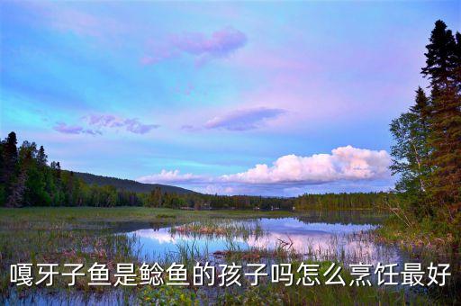 嘎牙鱼，鱼缸能养嘎牙鱼那他都吃什么东西啊谢谢