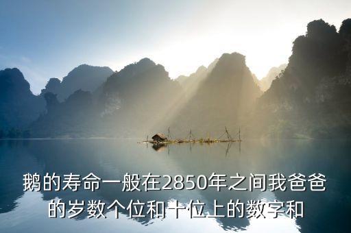 鹅的寿命一般在2850年之间我爸爸的岁数个位和十位上的数字和