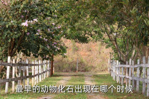 动物化石，现在世界一共有几种动物的化石