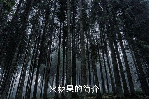 火棘果，火棘果的简介