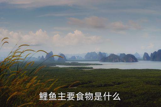 鲤鱼吃什么，鲤鱼喜欢的食物有