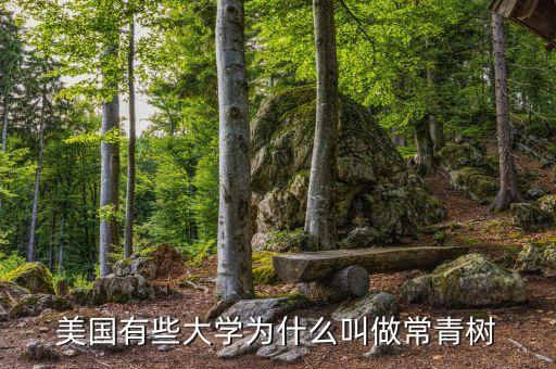 美国有些大学为什么叫做常青树