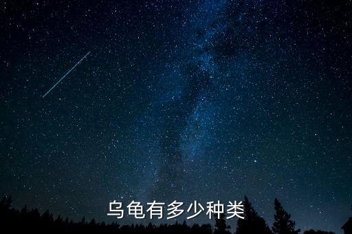 乌龟有多少品种，乌龟有多少种类