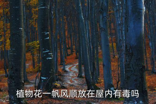 一帆风顺花有毒吗，植物花一帆风顺放在屋内有毒吗
