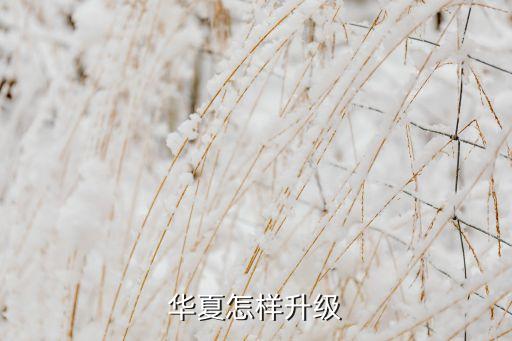 华夏怎样升级