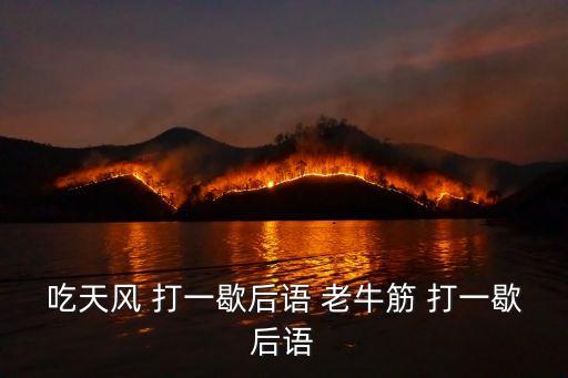 老牛筋，l老牛筋怎么能快点煮熟