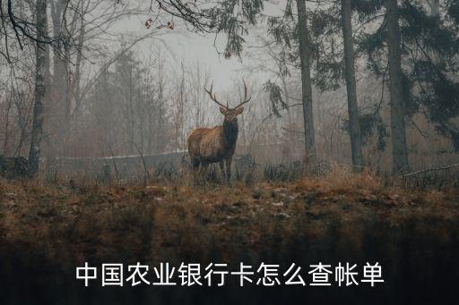 农业银卡怎么查询明细，农业银行卡清单怎么查