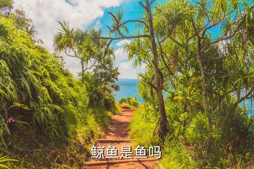 鲸鱼是不是鱼，鲸鱼是鱼类吗