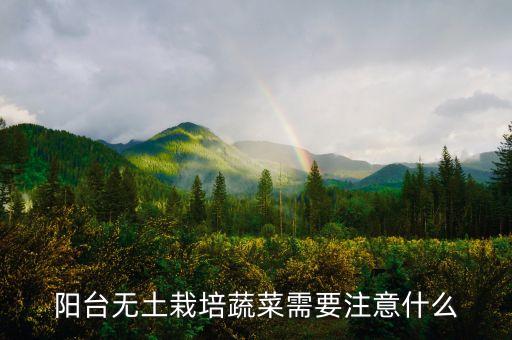 阳台无土栽培蔬菜需要注意什么