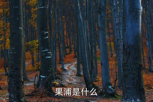 果囊，什么是果脐