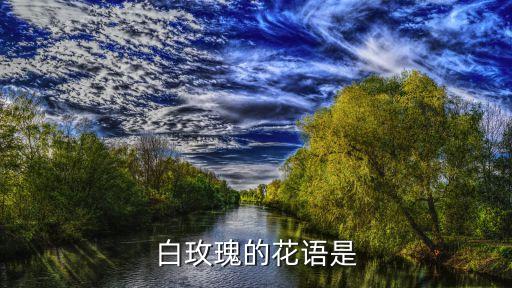 白玫瑰的花语是