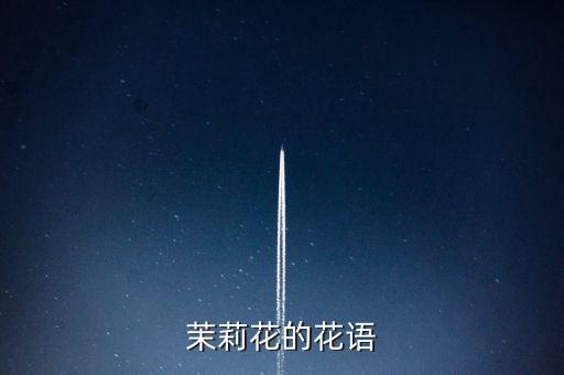 茉莉花的花语